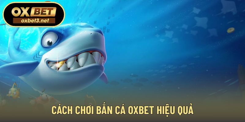 Chiến thuật giúp quản lý xu và nâng cao hiệu quả