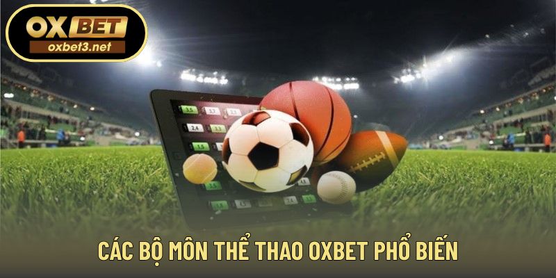 Sự đa dạng bộ môn giúp tăng trải nghiệm cá cược thể thao OXBET